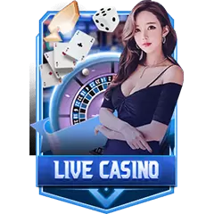 LiveCasino